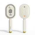 Electric Spray Airbag Massage Comb Essential Oil Atomized Hair Brush Anti-static Salon Fluffy Modeling Hair Care Tools