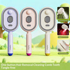 Electric Spray Massage Comb for Hair Care