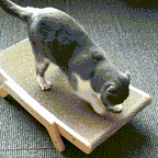 Maqiato | 3-in-1 Cat Scratching Post & Lounger