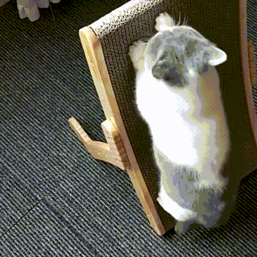 Maqiato | 3-in-1 Cat Scratching Post & Lounger