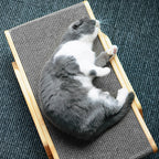 Maqiato | 3-in-1 Cat Scratching Post & Lounger