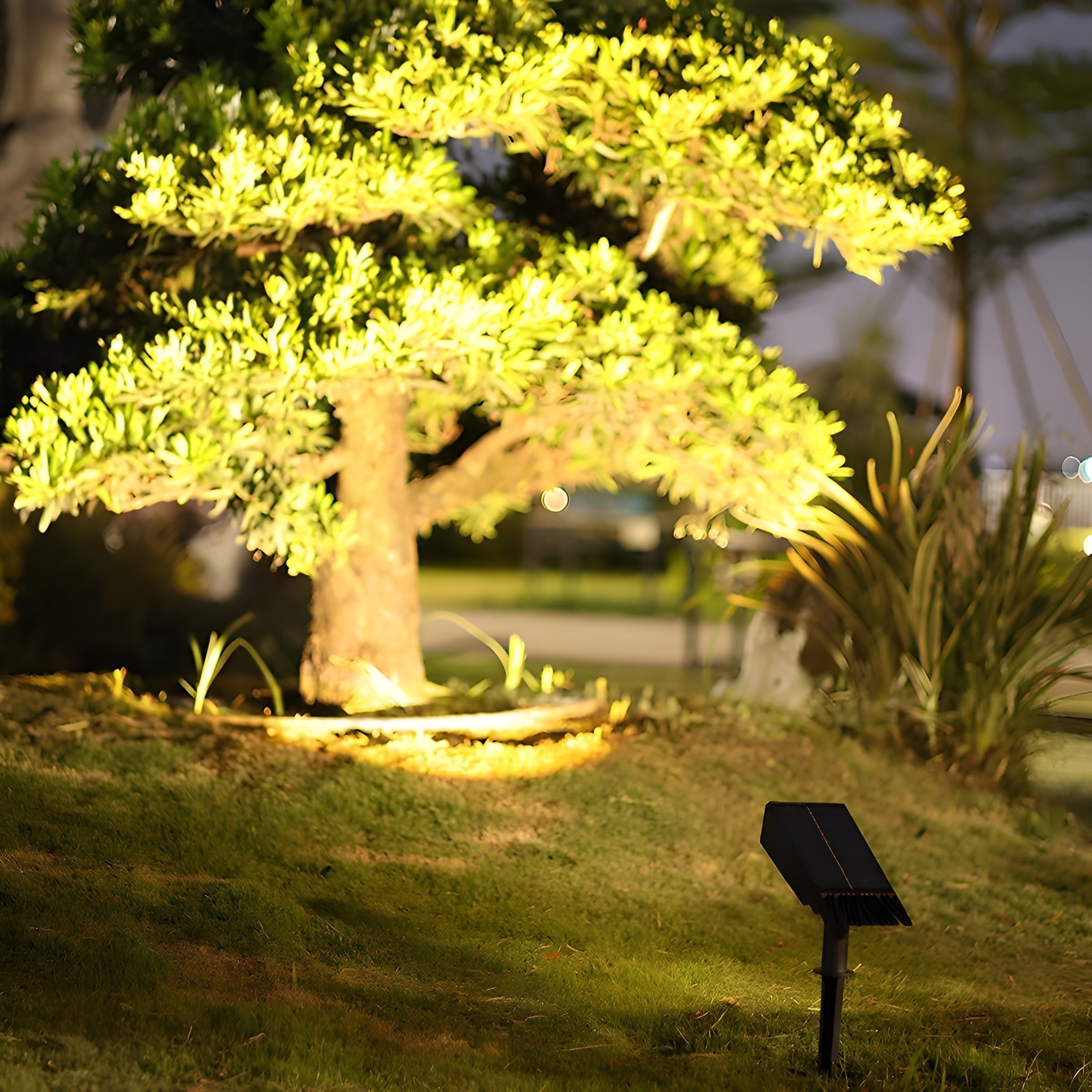 Maqiato | Adjustable Solar Garden Spotlight
