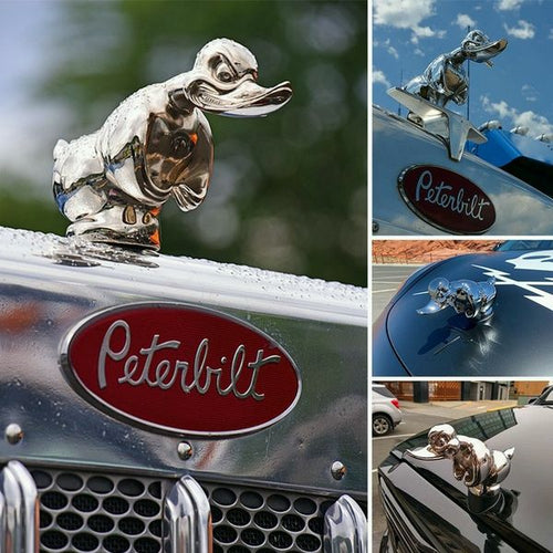 Maqiato | Angry Duck Hood Ornament