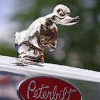 Maqiato | Angry Duck Hood Ornament