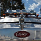 Maqiato | Angry Duck Hood Ornament