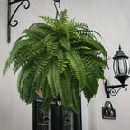 Maqiato | Artificial Boston Fern