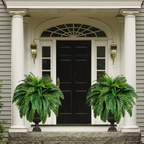 Maqiato | Artificial Boston Fern for Outdoor Decor