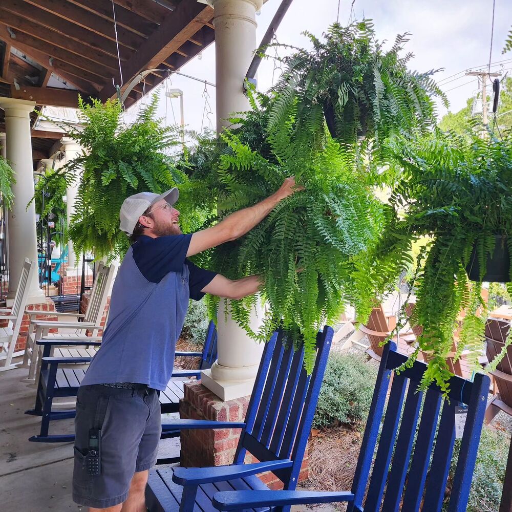 Maqiato | Artificial Boston Fern for Outdoor Decor