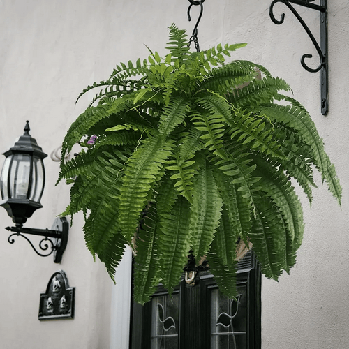Maqiato | Artificial Boston Fern for Outdoor Decor