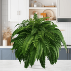 Maqiato | Artificial Boston Fern for Outdoor Decor