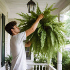 Maqiato | Artificial Boston Fern for Outdoor Decor