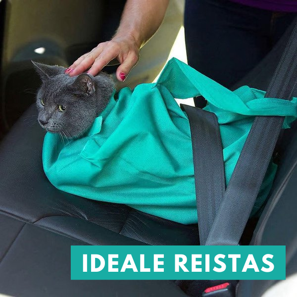 Maqiato | Cat Travel Carrier Bag