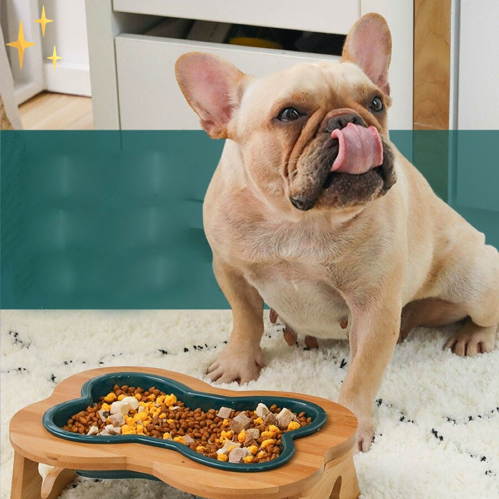Maqiato | Ceramic Dog Bowl with Wooden Stand