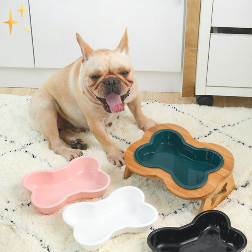 Maqiato | Ceramic Dog Bowl with Wooden Stand