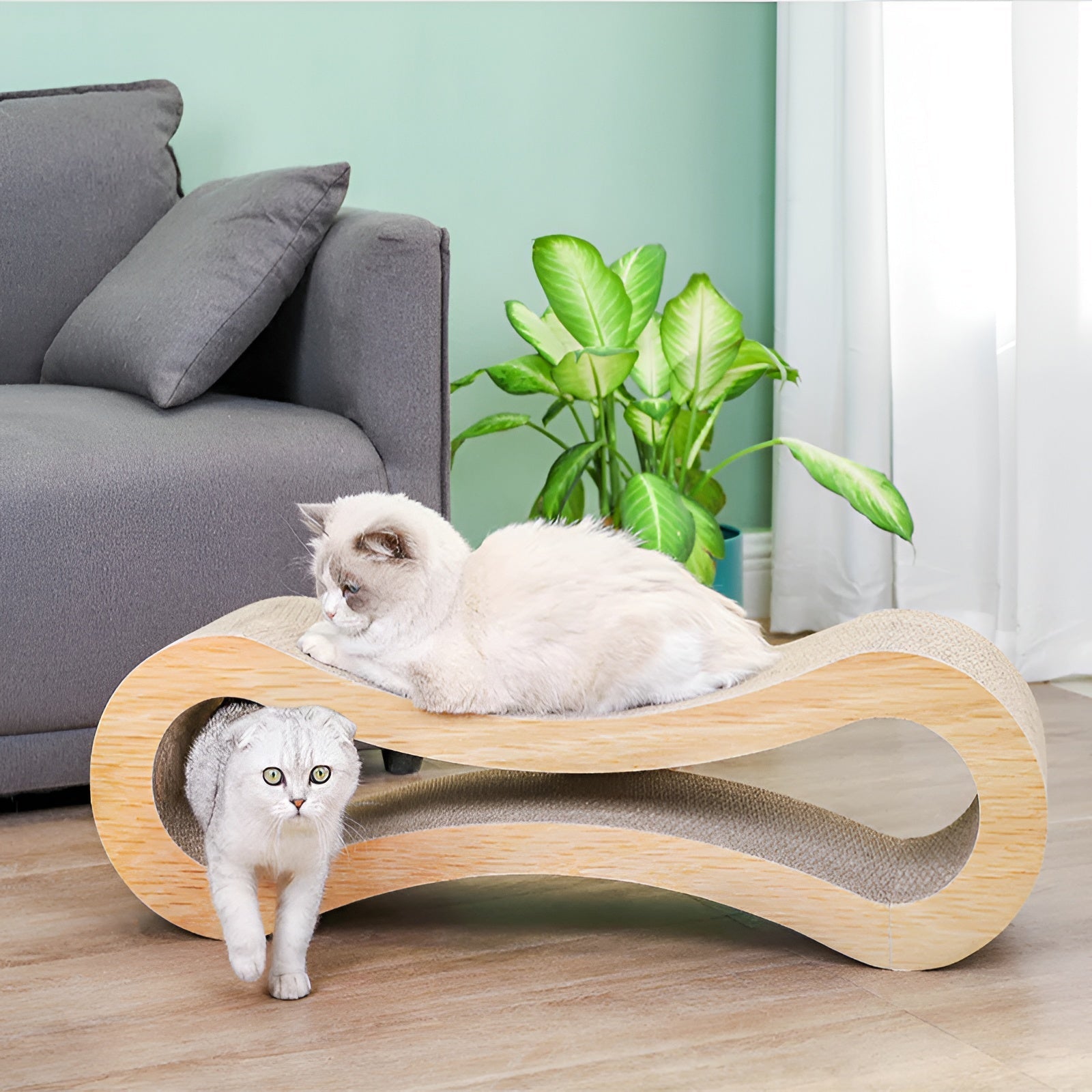 Maqiato | Curved Cat Scratching Lounge Bed