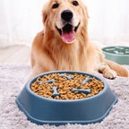 Maqiato | Maze Slow Feeder Dog Bowl