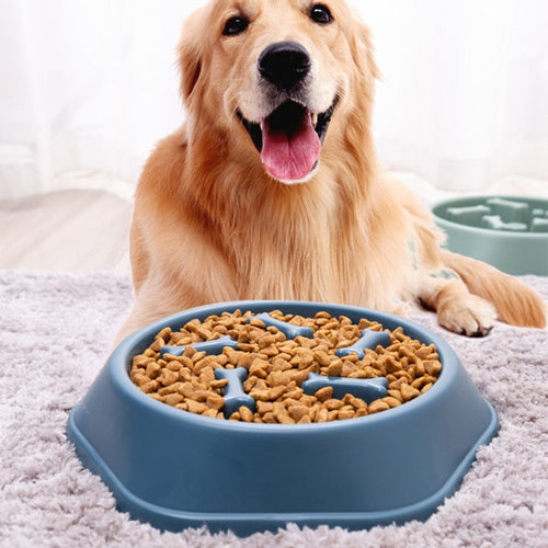 Maqiato | Maze Slow Feeder Dog Bowl