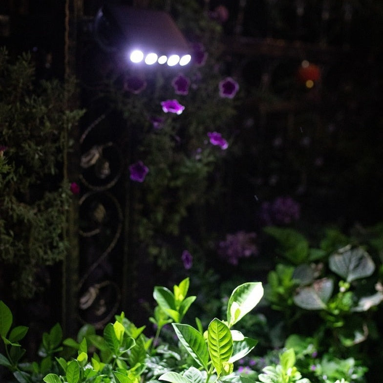 Maqiato | Solar Motion Sensor Outdoor Light